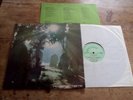 NO OTHER NAME - DEATH INTO LIFE LP UK Private Xian Folk Rock Prog 1979 Daylight