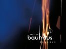 BAUHAUS - CRACKLE: THE BEST OF BAUHAUS (RUBY VINYL/2LP) [PRE-ORDER] [GOTH] [NEW