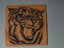 TYGERS OF PAN TANG - Don't Touch Me there 7