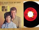DICK & DEE DEE TEEN 45+RARE PIC SLEEVE THE RIVER TOOK MY BABY/MY LONELY SELF