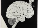 Expanding Circle - Conscious LP - Private Psych Folk VG++