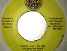 Tony Scott & Soul Boys What Am I To Do Now / You Still Got That Smile Ard Roc