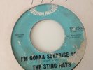 STING RAYS - I'M GONNA SURPRISE YOU / LADY BE GOOD - SATURN RECORDS 250. VG+
