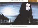 Dead or Alive, Mad, Bad and Dangerous To Know  Vinyl Record *NEW*