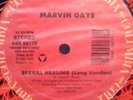 Marvin Gaye / Rodney Franklin Sexual Healing / The Groove Vinyl Single 12inch