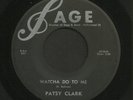 Michigan Chick Rockabilly 45   Patsy Clark   Sage   Hear