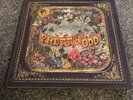 Panic At The Disco Pretty Odd Ltd Collectors Edition Vinyl Box Set