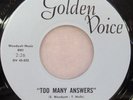 GARAGE PSYCH BLUE ICE GOLDEN VOICE 45-522 PEOPLE GET READY TOO MANY ANSWERS M-