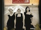 DIXIE CHICKS-HOME (GATE) VINYL LP NEW