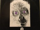 E.A. Poe-Generazioni (Storia Di Sempre)  Italian Progressive/Psych
