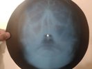 Bob Marley - I Shot the Sheriff X-RAY - 78 -USSR- ROENTGEN BONES Record - Skull
