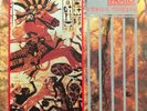 Skeletal Family •Futile Combat• RARE TEXTURED SLV  Ghost Dance Sisters of Mercy
