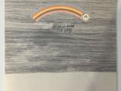 Frightened Rabbit Be Less Rude/The Greys 7