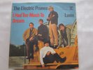 The Electric Prunes      I Had Too Much To Dream