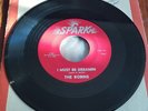 R&B/DooWop ROBINS I Must Be Dreamin/The Hatchet Man SPARK Rare vinyl