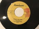THE THUNDER ROCKS / WHAT'S THE WORD/ JOHNNY SAX 45 ROSELAWN VG++