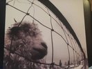 Pearl Jam - Vs. vinyl LP - Epic, 1993 original gatefold - great condition