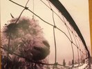 PEARL JAM - VS. VINYL LP Original 1993