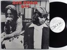 BIG STAR 3rd PVC LP