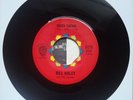 Bill Haley - Chick Safari/Hawk(Mod, R&B, Popcorn, Rockabilly) NM
