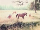 Bill Callahan-Sometimes I Wish We Were An Eagle (Importación USA) VINYL NUEVO
