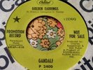 Garage Fuzz Pop Psych Promo 45 Gandalf Golden Earrings / Never Too Far NM HEAR