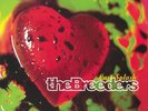 BREEDERS, The - Last Splash (reissue) - Vinyl (LP)
