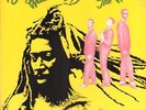 Bunny Wailer Sings The Wailers Island Records Vinyl LP