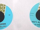 The Springfield Rifle 45 set of two on JERDEN Pop Psych & Northern Dancer M-