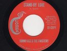 '65 Txs Latino Bluesy Mover SONNY ACE/TWISTERS Stand-By Love/Anymore COBRA HEAR