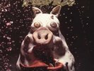 Primus **Pork Soda **BRAND NEW RECORD LP VINYL