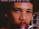 PHIL RANELIN Vibes From The Tribe LP NEW VINYL Pure Pleasure reissue Tribe