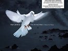 Karl Jenkins - Karl Jenkins - The Armed Man: A Mass for Peace (180g 12