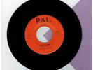 The Nite-Cappers 45 rpm Record '' Out Of Sight '' PAL Records''