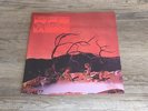 C. A. QUINTET: TRIP THRU HELL LP GATEFOLD VINYL SUNDAZED CA PSYCHEDELIC GARAGE