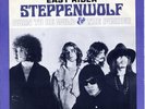 STEPPENWOLF 45 & PICTURE SLEEVE BORN TO BE WILD b/w THE PUSHER RARE NICE  PS