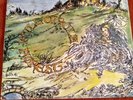 Forest Full Circle.  Vinyl Lp. Psychedelic Rock. uk 1970 .