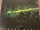 Esoteric Funk Hubert Eaves Lp IC 6012 Inner City Records NM RARE VINYL
