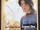James Iha, Smashing Pumpkins, Let It Come Down, Vinyl