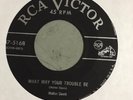 Blues Rarity Walter Davis RCA 47-5178 