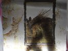 Led Zeppelin 4 ZOSO Silverprint Sleeve