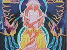 HAWKWIND - SPACE RITUAL - UNITED ARTISTS 1973 DOUBLE LP Signed By TWINK