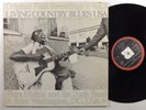 FLORA MOLTON & TRUTH BAND Living Country Blues USA Vol 3 BELLAPHON LP ++ germany