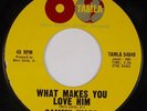 SAMMY WARD: Don’t Take it Away / What Makes You Love Him US Tamla Soul 45 MP3