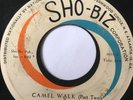 Rockabilly Tittyshaker 45/ Saxons 