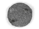 Astralasia & The Use Of Ashes - Astralashes