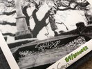 Green Day 39/Smooth Vinyl authentically signed by Billie Joe, Mike, and Tre