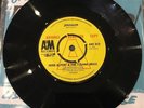 Herb Alpert & The Tijuana Brass- Jerusalem 7