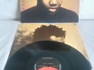 Tracy Chapman   ST Elektra 1988 960 774-1 c/w inner NM/EX+    See all pics