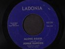 JORGE DARDEN: Alone Again / Please Don't Stop The Music 45 (stunning sublime ja